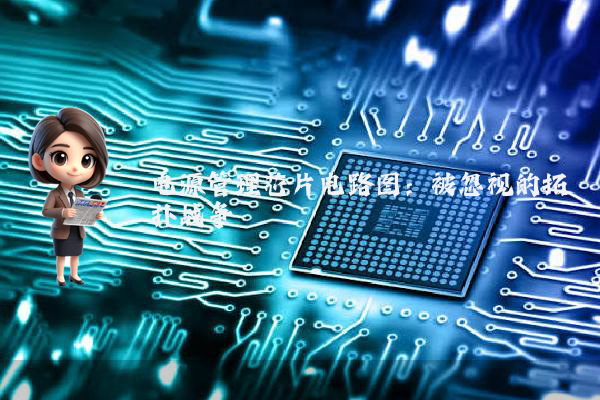 电源管理芯片电路图：被忽视的拓扑战争